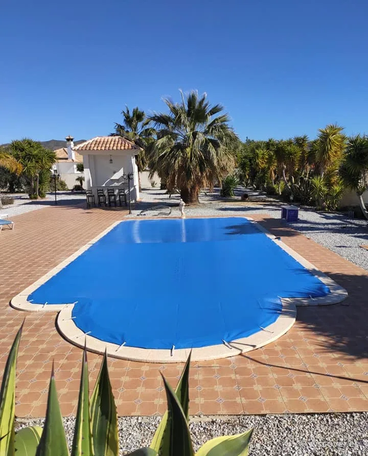 Winter PVC cover on a pool with a Roman-end step, among palm trees